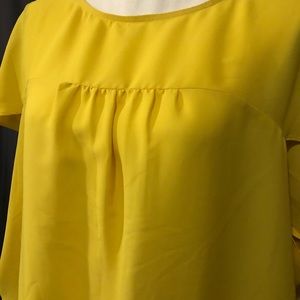 EUC LOFT Short Sleeve Dolman Top